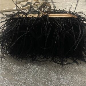 Moda Luxe Elegant Black Feather Clutch